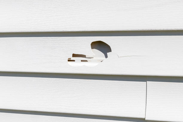 Best Shed Removal  in West Menlo Park, CA